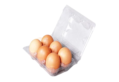 Egg Tray