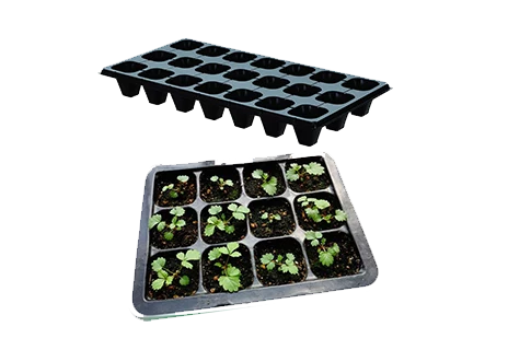 Seedling tray