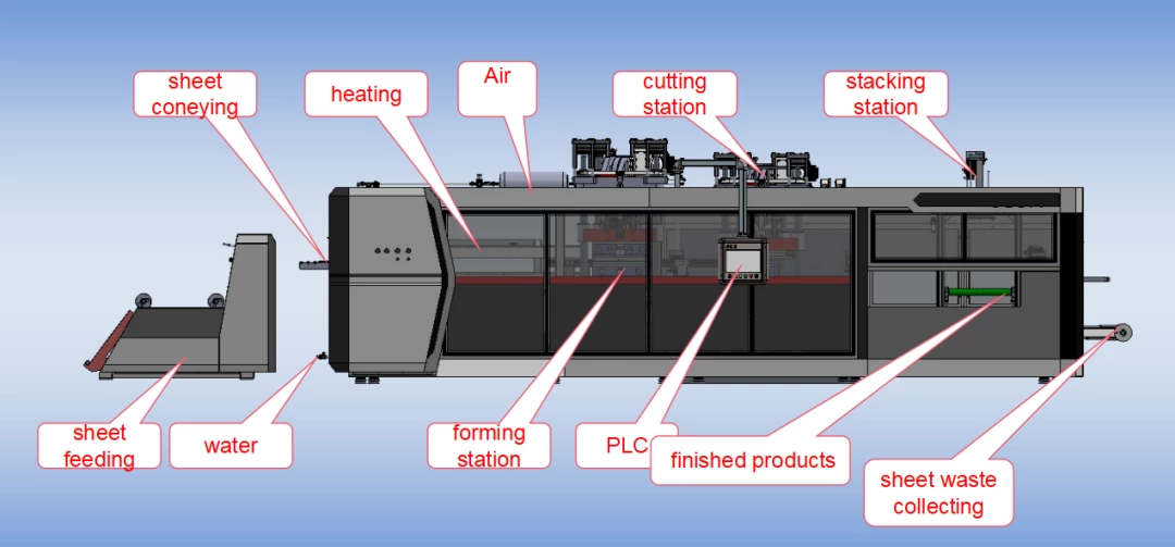 Fully automatic three-station plastic thermoforming machine TTF-820 A Introduction