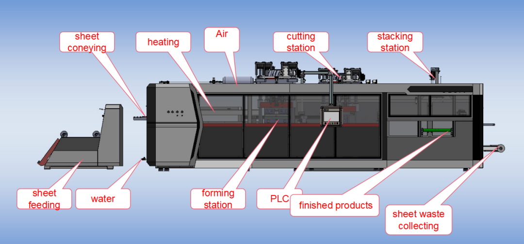 Fully automatic three-station plastic thermoforming machine TTF-820 A Introduction